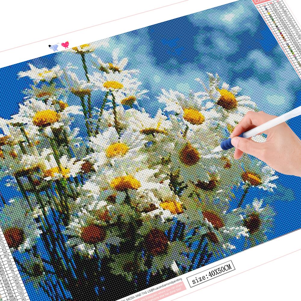 Frameless, Full Drill Square D - Embroidery Daisy Flower avaliação e preço