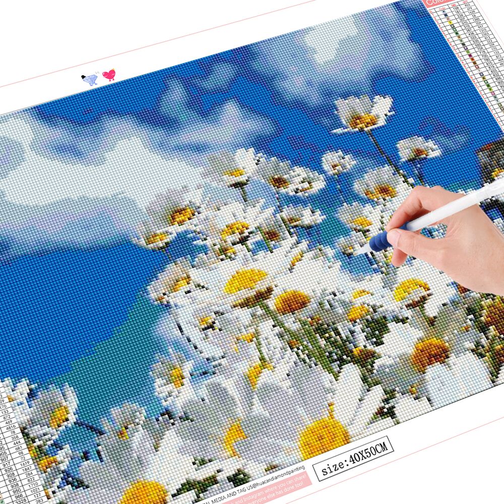 Frameless, Full Drill Square D - Embroidery Daisy Flower avaliação e preço