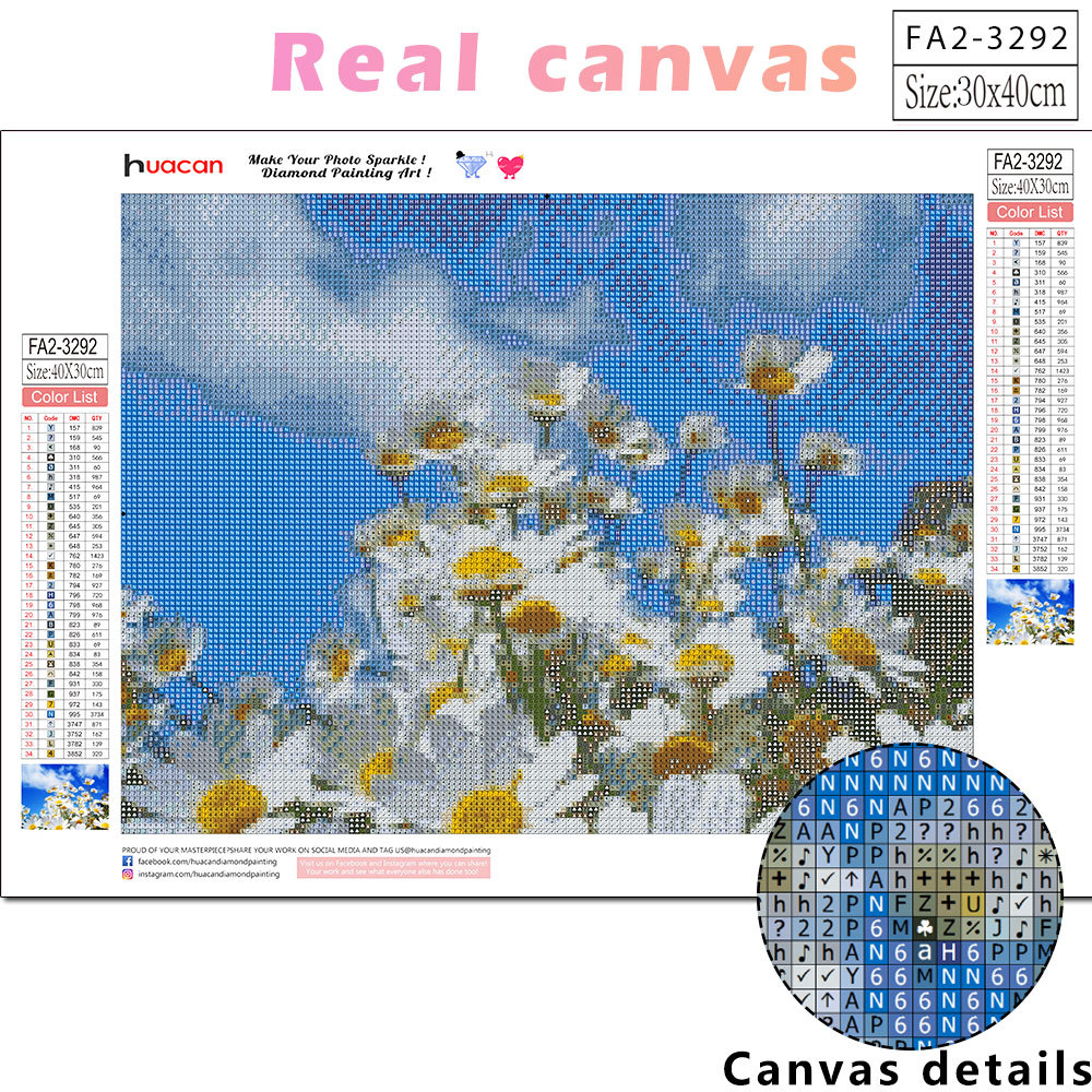 Frameless, Full Drill Square D - Embroidery Daisy Flower avaliação e preço